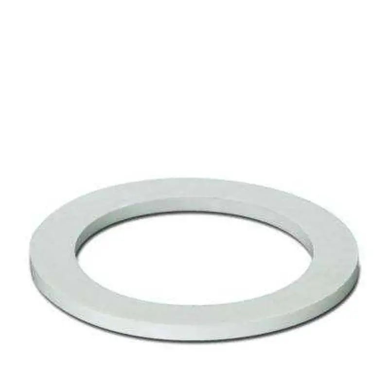 A-SEW-32-P-W - Flat gasket