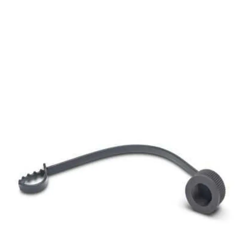 PROT-M12 FS-PA-CHAIN - Sealing cap