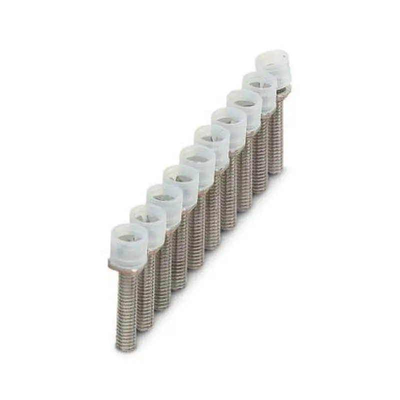 ISSBI  10- 6 - Bridge