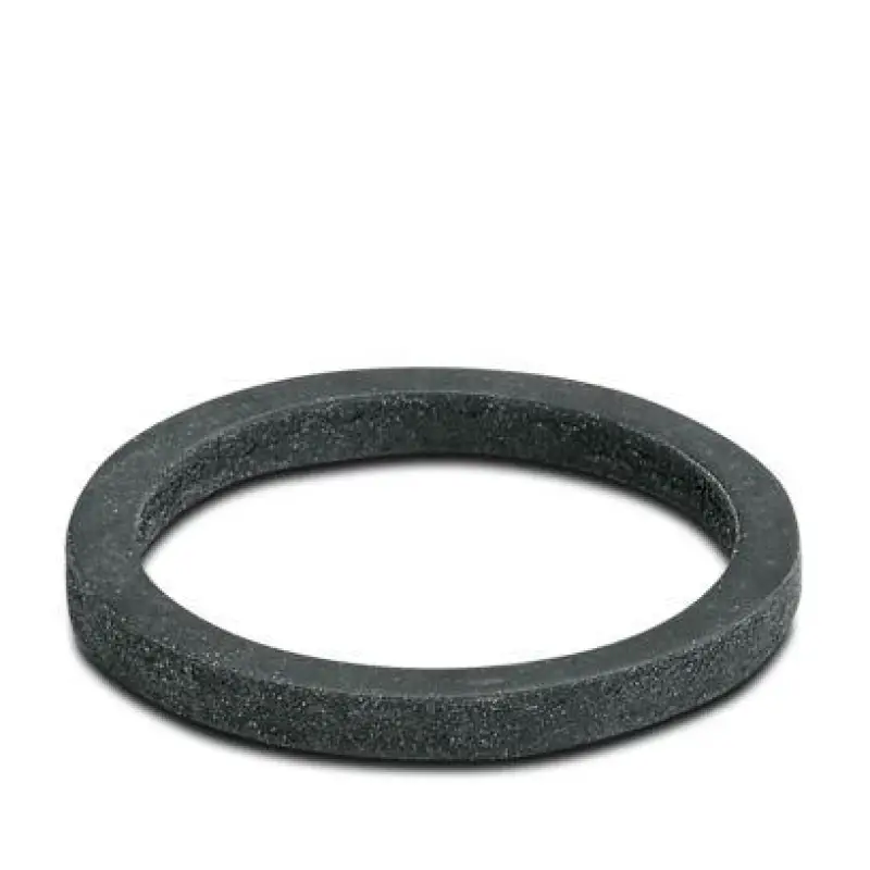 WP-FS IP68 PG21 - Flat gasket