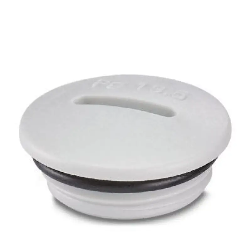 A-INSP-PG13-65N-P-LG - Screw plug