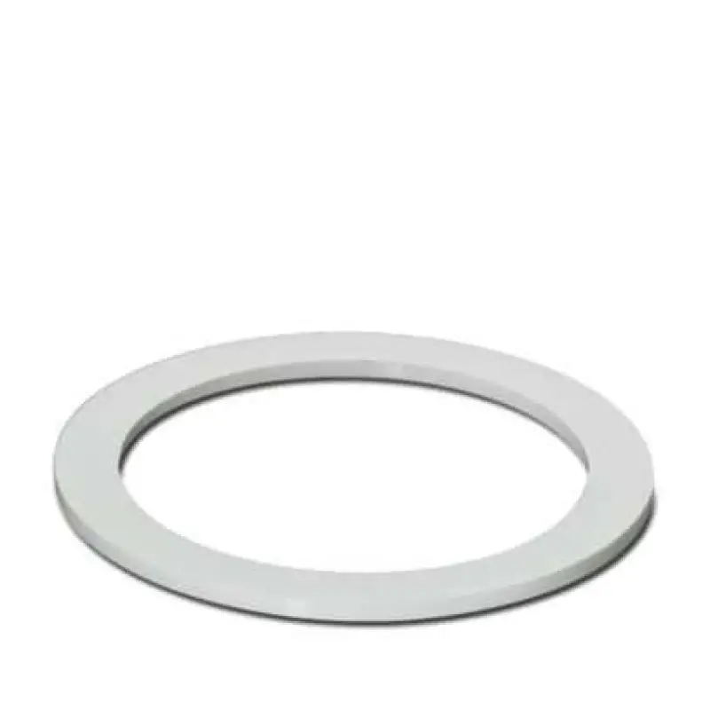 A-SEW-40-P-W - Flat gasket